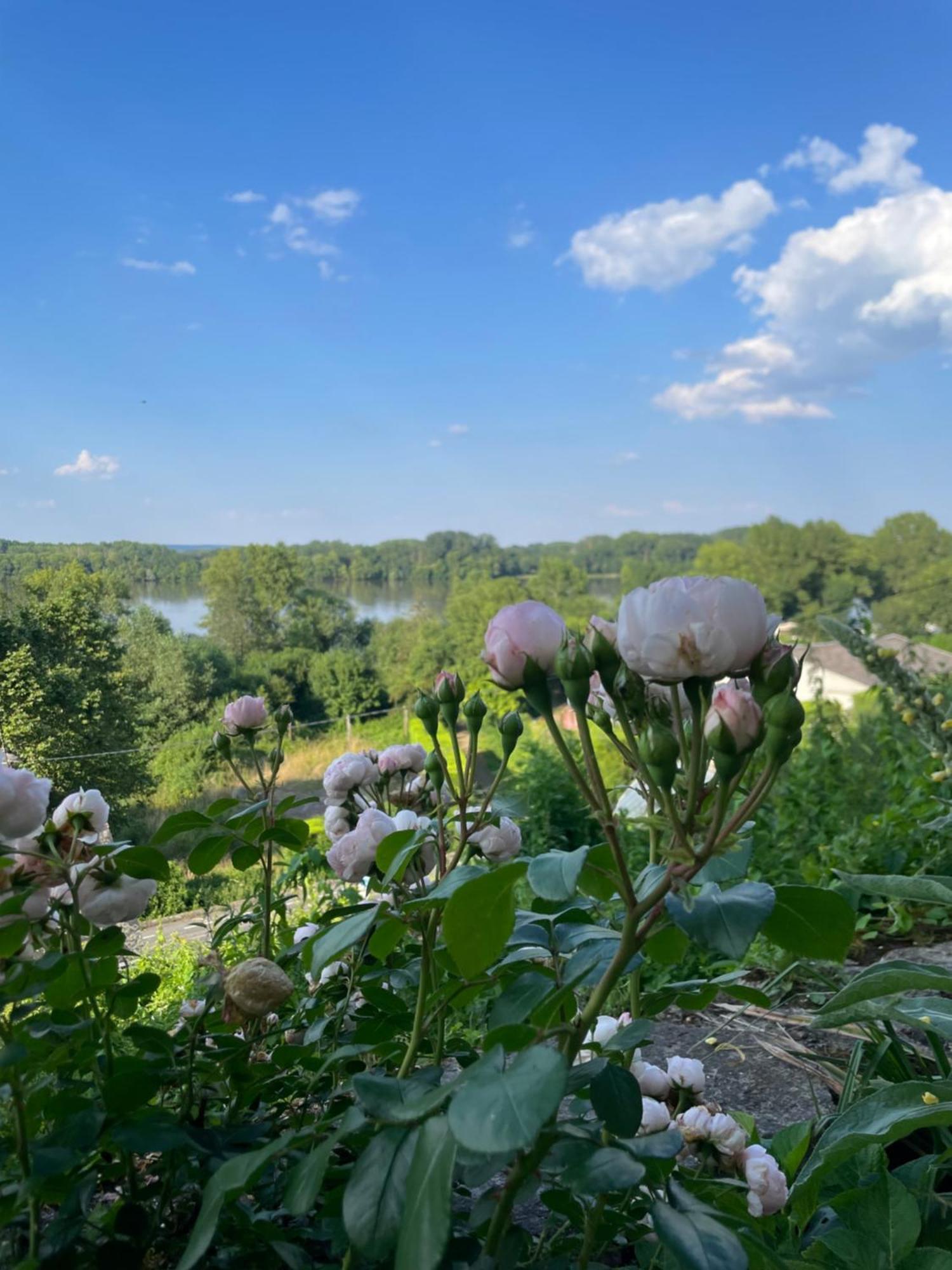 Gite Des Perreyeurs - Maison Troglodyte Avec Vue Sur Loire Montsoreau Exterior foto